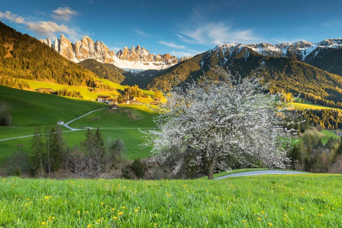 Raschoetzhof Фунес Экстерьер фото